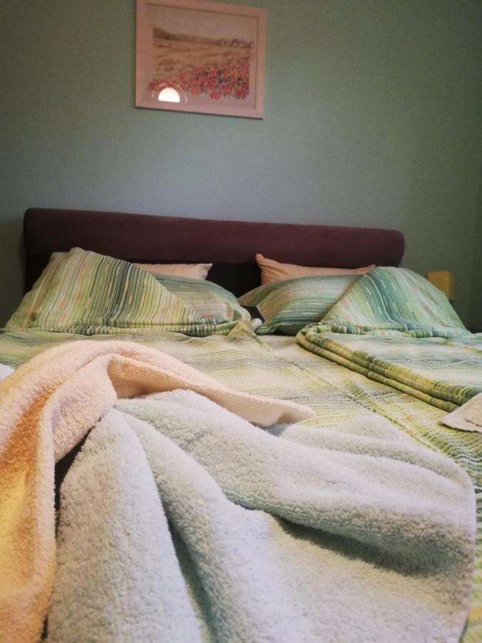 Apartmani Bambola Βίσεγκραντ Εξωτερικό φωτογραφία